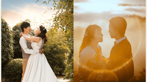 みたらし・よもぎ団子